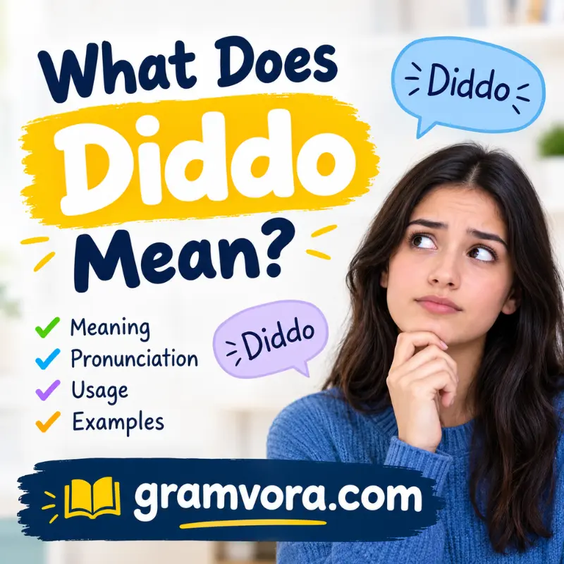 What Does Diddo Mean?