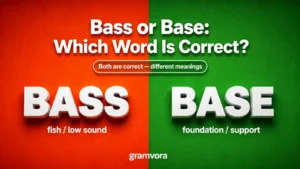 Bass or Base: Which Word Is Correct?