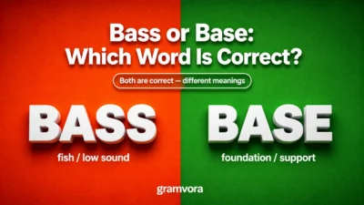 Bass or Base: Which Word Is Correct?