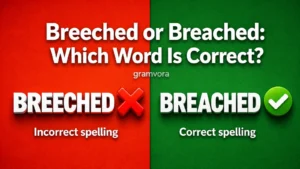 Breeched or Breached: Which Word Is Correct?