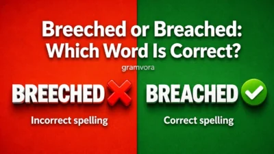 Breeched or Breached: Which Word Is Correct?