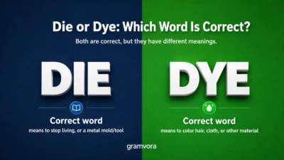 Die or Dye: Which Word Is Correct?