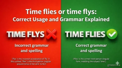 Time flies or time flys: Correct Usage and Grammar Explained
