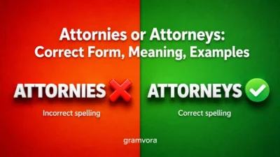 Attornies or Attorneys: Correct Form, Meaning, Examples