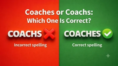 Coaches or Coachs: Which One Is Correct?