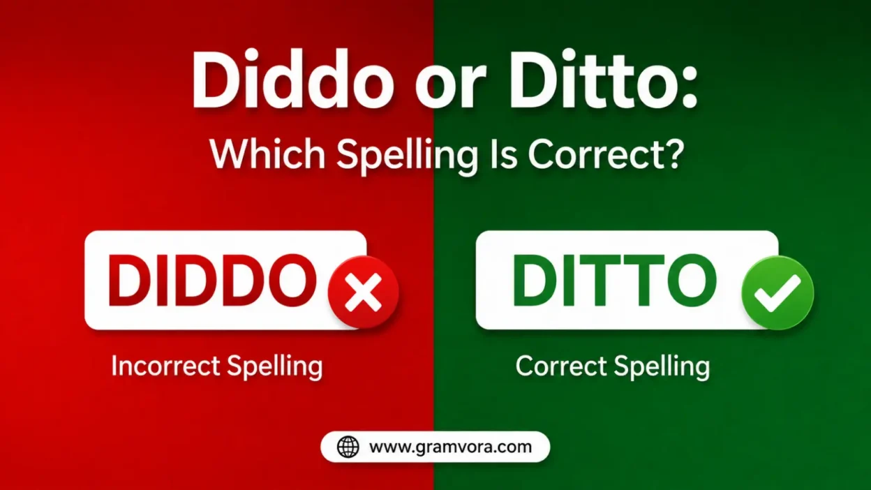 Diddo or Ditto: Which Spelling Is Correct?