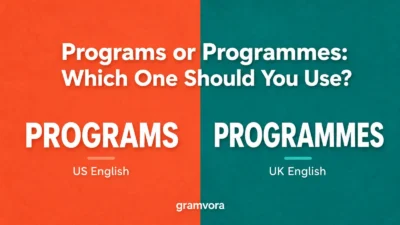 Programs or Programmes: Which One Should You Use?