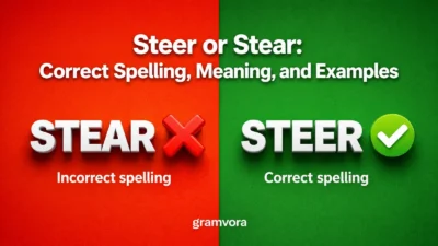 Steer or Stear: Correct Spelling, Meaning, and Examples