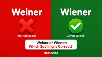 Weiner or Wiener: Which Spelling Is Correct?