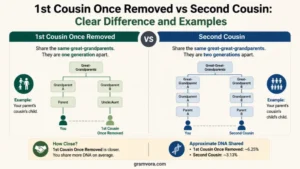 1st Cousin Once Removed vs Second Cousin: Clear Difference and Examples