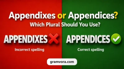 Appendixes or Appendices? Which Plural Should You Use?