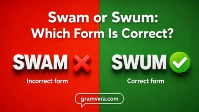 Swam or Swum: Which Form Is Correct?